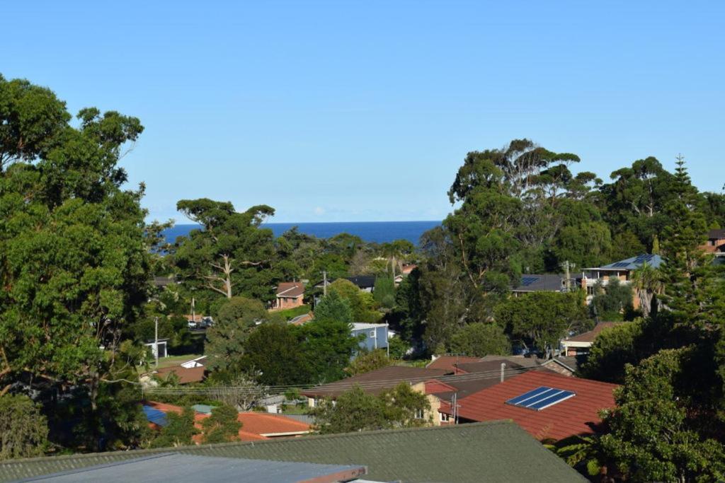 Mollymook Caravan Park Eksteriør billede