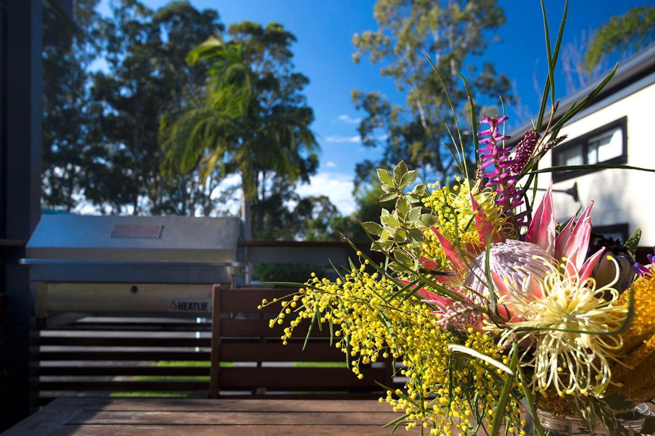 Mollymook Caravan Park Eksteriør billede